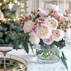 Rosa David Austin Keira