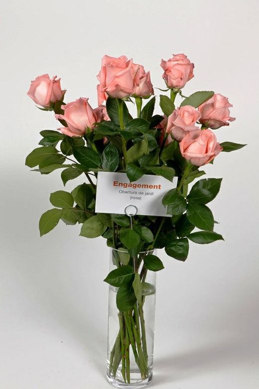 Rosa Engagement