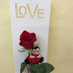 Rosa Natural a Caixa Love amb Marieta per a Sant Valentí