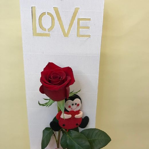 Rosa Natural a Caixa Love amb Marieta per a Sant Valentí