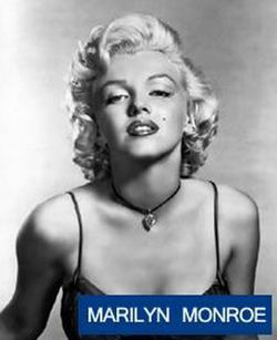 Rosa Perfumada Norma Jeane