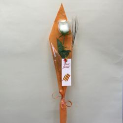 Rosa Sant Jordi Colores