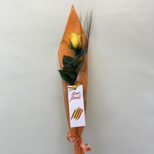 Rosa Sant Jordi Colores