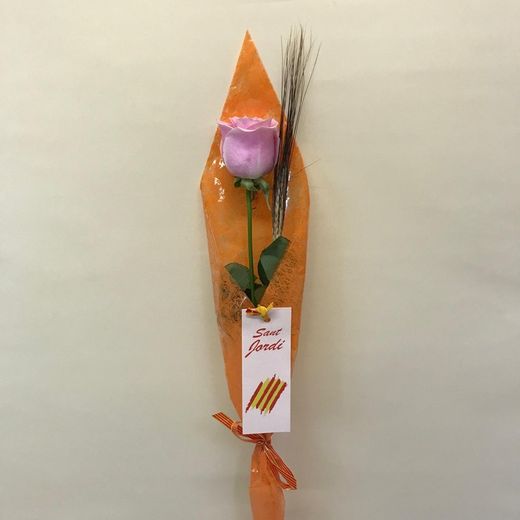 Rosa Sant Jordi Colores