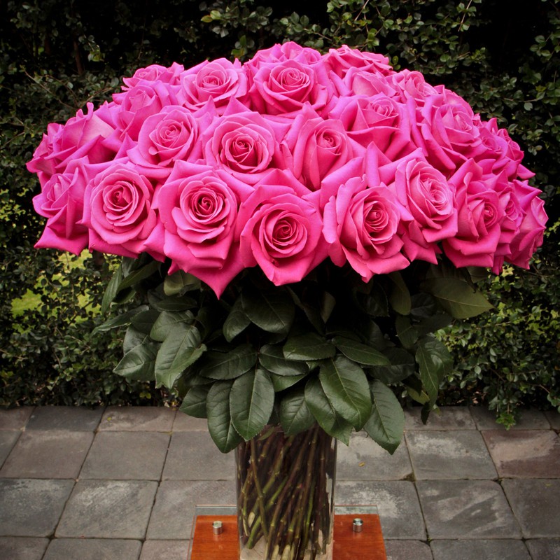 Ramo de flores secas Hot Pink  Día de la Madre, Bodas, Eventos