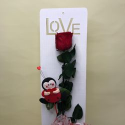 Rosa Preservada Love Mariquita