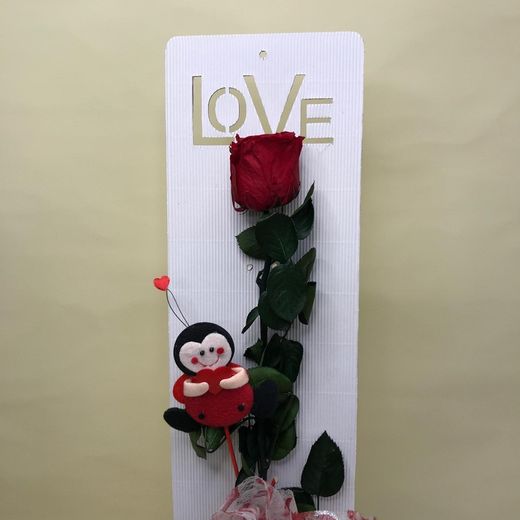 Rosa Preservada Love Mariquita
