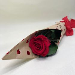 Rosa Preservada Sant Valentí
