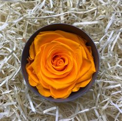 Rosa Preservada Sant Valentí