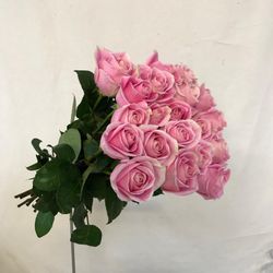 Rosa Rosita Vendela vintage