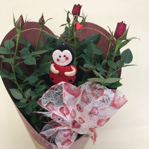 Rosal Mini San Valentín