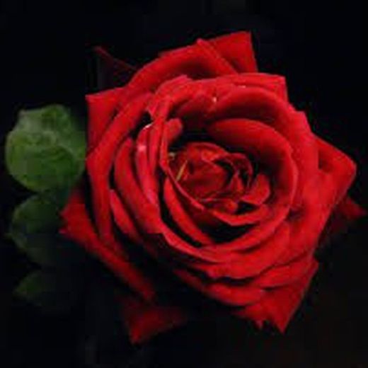 Rosales Chrysler Imperial Premium