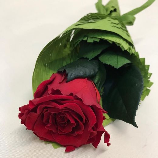Rosas Preservadas 20/30cm.