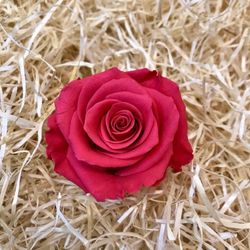 Rosas Preservadas 20/30cm.