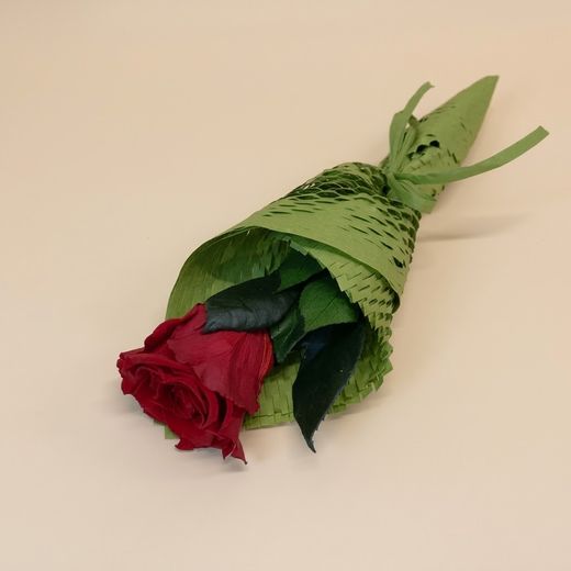 Rosas em Conserva 20 / 30cm.
