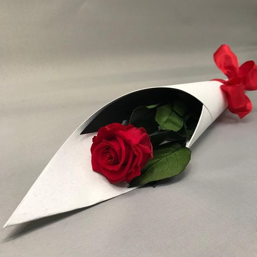 Roses Preservades 45 / 50cm