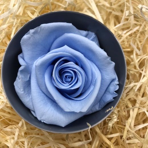 Roses Preservades 45 / 50cm