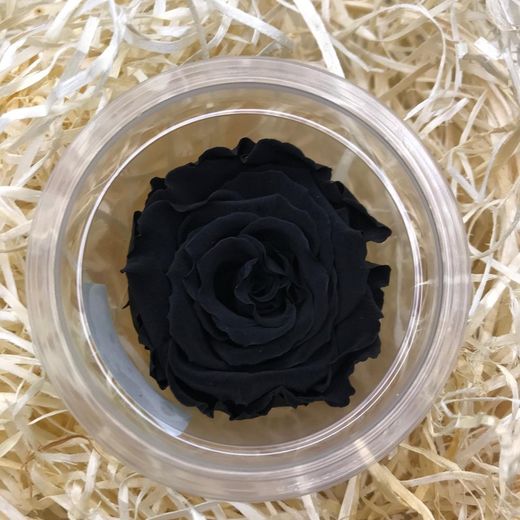 Roses Preservades 45 / 50cm