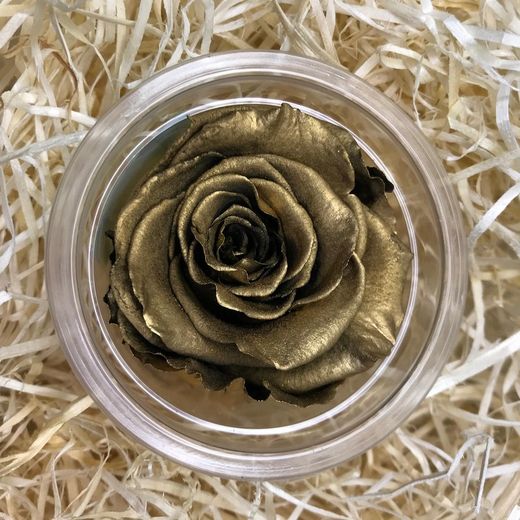 Roses Preservades 45 / 50cm