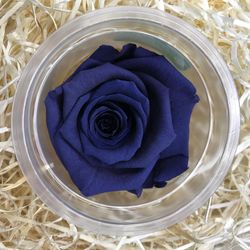 Roses Preservades 45 / 50cm