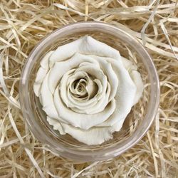 Roses Preservades 45 / 50cm