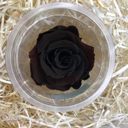 Roses Preservades 45 / 50cm