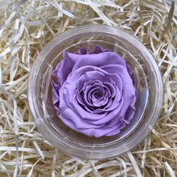 Roses Preservades 45 / 50cm