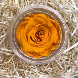 Roses Preservades 45 / 50cm