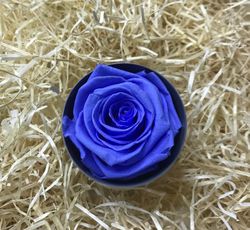 Roses Preservades 45 / 50cm