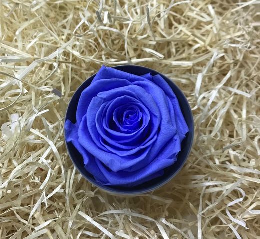 Roses Preservades 45 / 50cm