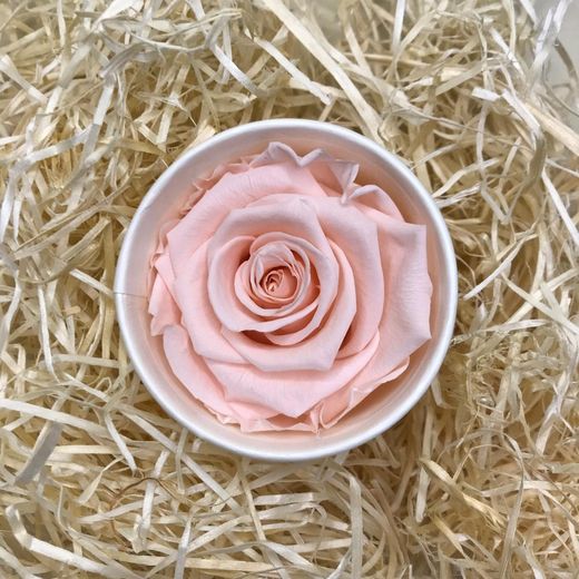 Roses Preservades 45 / 50cm