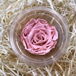 Roses Preservades 45 / 50cm