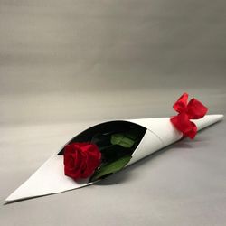 Roses Preservades 45 / 50cm