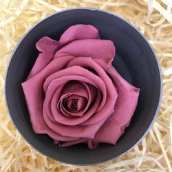 Roses Preservades 45 / 50cm