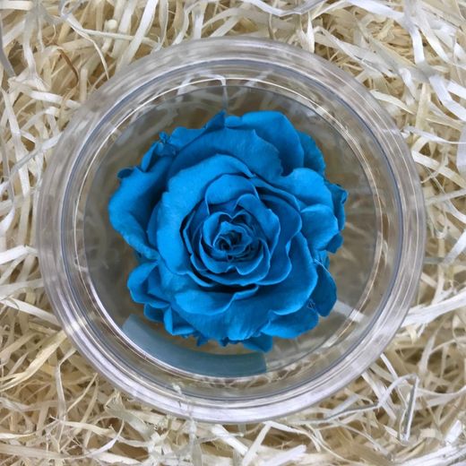 Roses Preservades 45 / 50cm