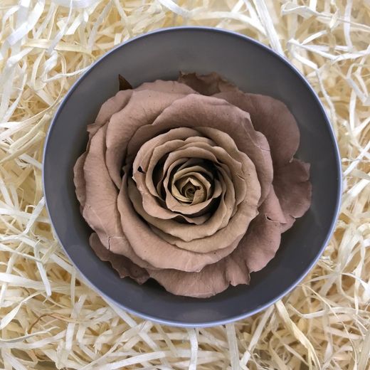 Roses Preservades 45 / 50cm