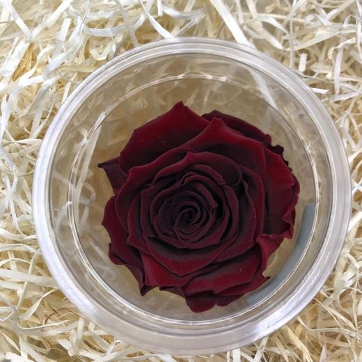 Roses Preservades 45 / 50cm