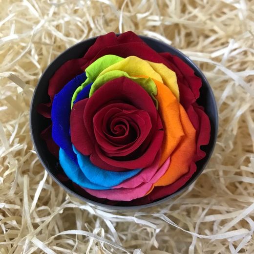 Roses Preservades 45 / 50cm