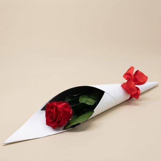 Rosas em Conserva 45 / 50cm