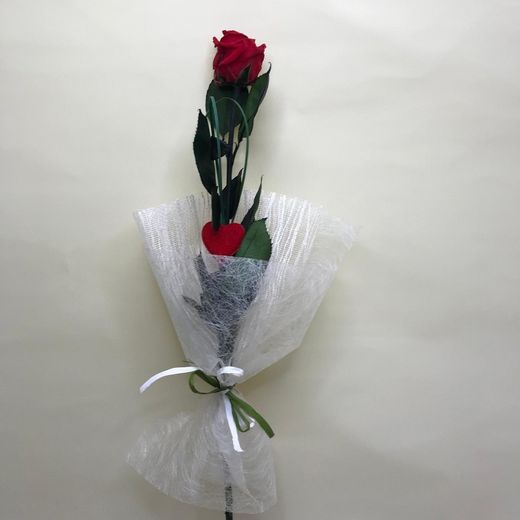 Roses stabilisées Couleurs 45/50 cm