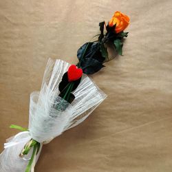 Roses stabilisées Couleurs 45/50 cm