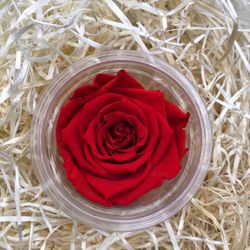 Rosas Preservadas a granel