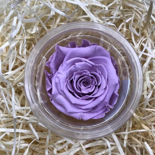 Rosas Preservadas a granel