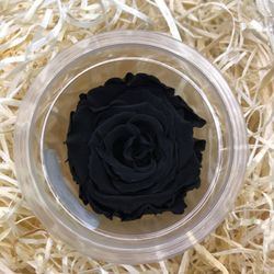 Rosas Preservadas a granel