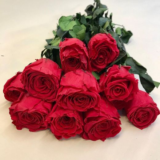 Rosas Preservadas a granel
