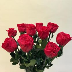 Rosas Preservadas a granel