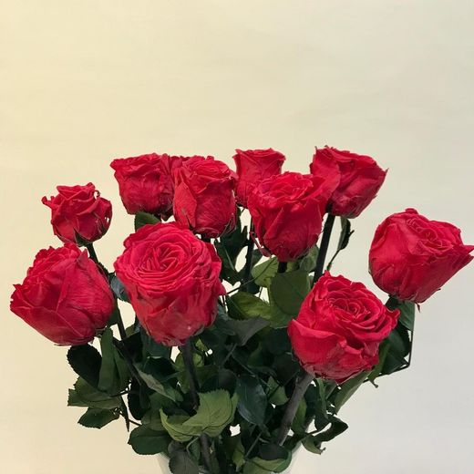 Rosas Preservadas a granel