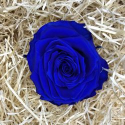 Roses Preservades XL 45/50 cm