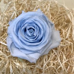 Roses Preservades XL 45/50 cm