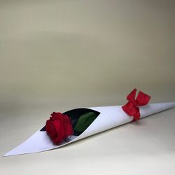 Roses Preservades XL 45/50 cm